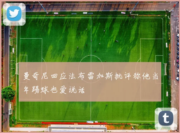 曼奇尼回应法布雷加斯批评称他当年踢球也爱说话
